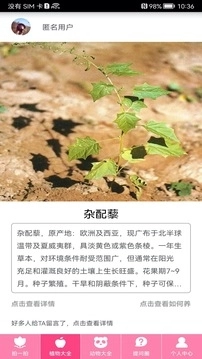 拍照识物软件 (2)