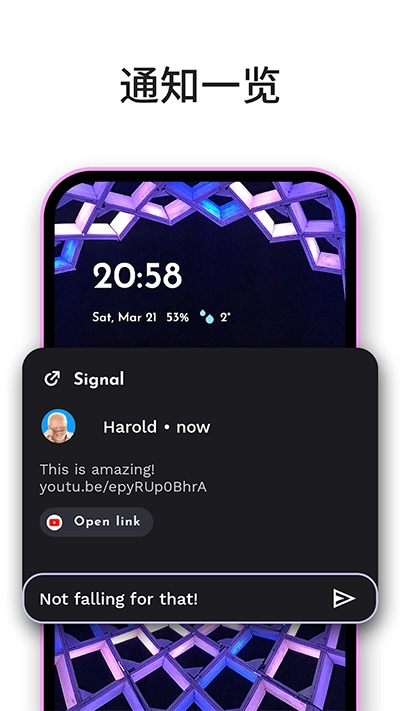 Niagara Launcher-图1
