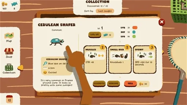 斗虫公园手机版图5