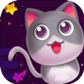 猫你太美