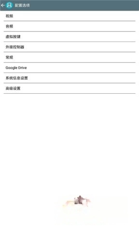 drastic中文版(4)