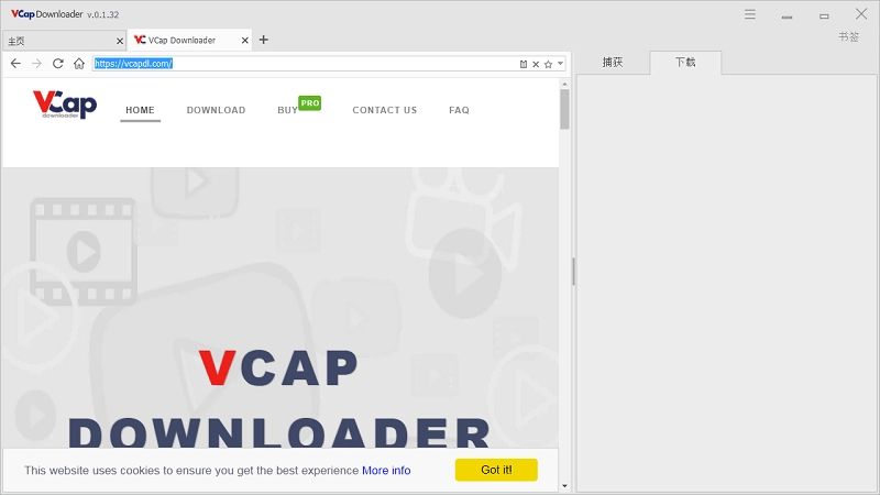 vcapdownloader电脑版(4)