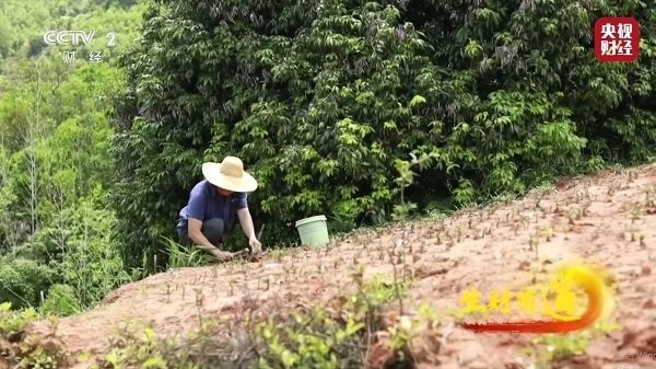 龙tv盒子版图3