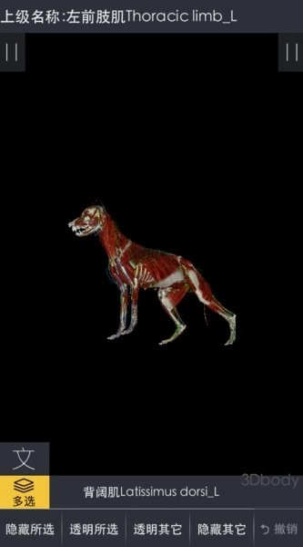 3dbody宠物安卓手机版