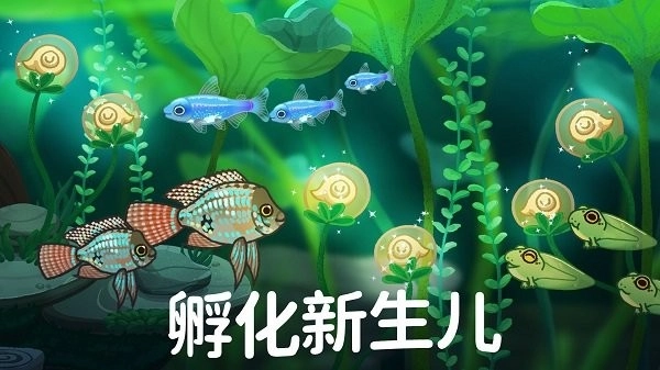 池趣游戏图2