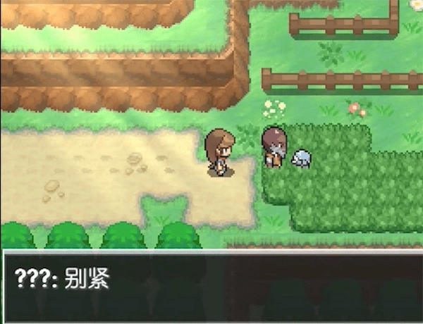 宝可梦蛋白石新手攻略