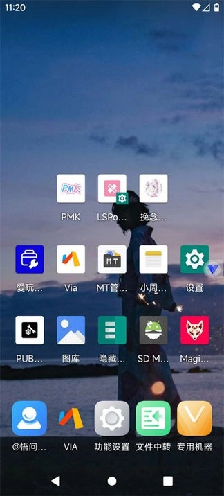 挽念虚拟机root免费版(3)
