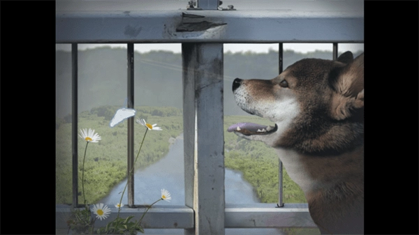 翌日波奇狗的历险记中文版图2