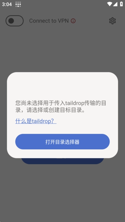 Tailscale漢化版截圖1