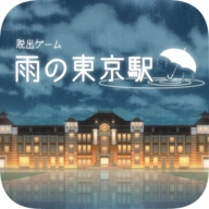 雨中东京站