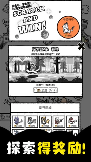 养鸡时长两年半3