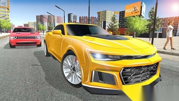 CarSimulator2中文最新版(2)