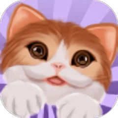 逃跑的猫