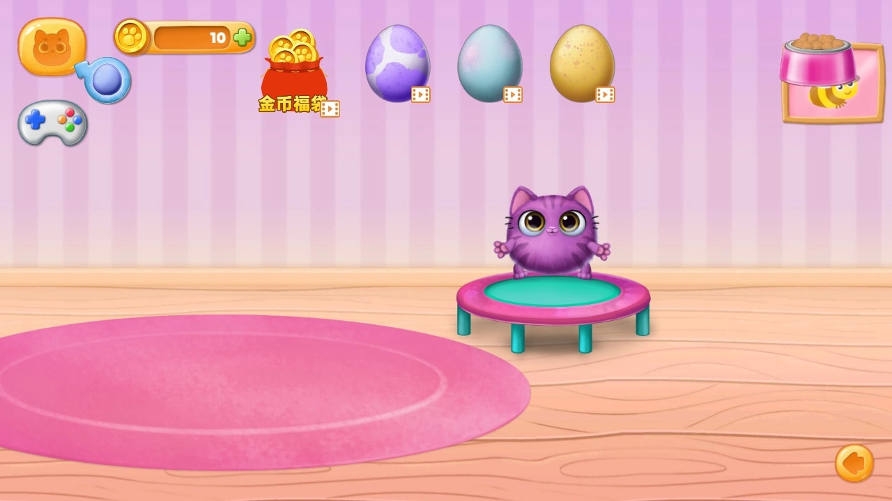 我的宠物总动员