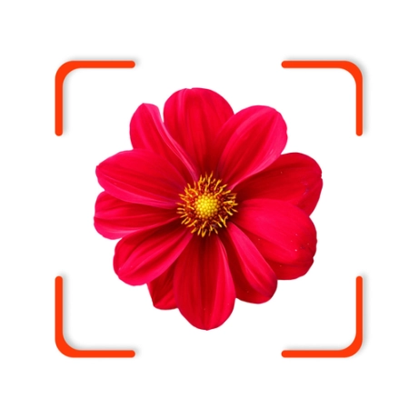 findplant软件