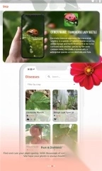 findplant软件截图1
