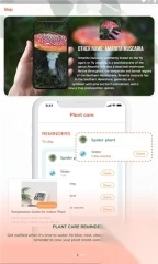 findplant软件截图2