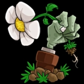 植物大战僵尸转基因版