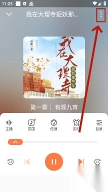 有声<p>小说</p>