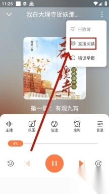 有声<p>小说</p>