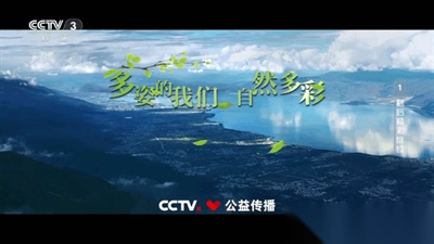爱尚电视TV电视版