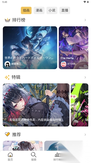 PixivViewer轻工具安卓版截图2