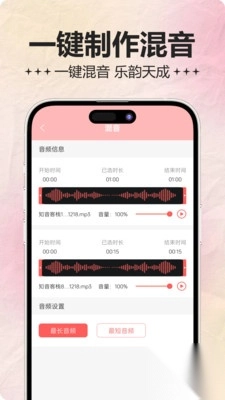 音频处理器(2)