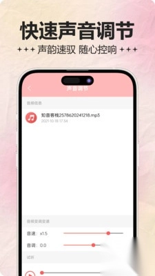 音频处理器(1)