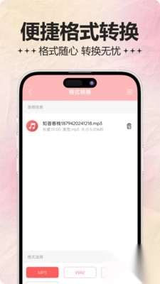 音频处理器(3)