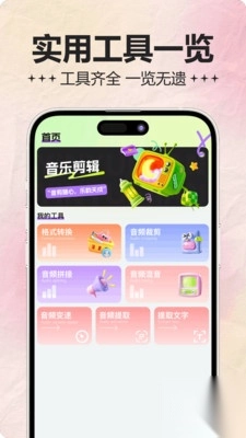 音频处理器(4)