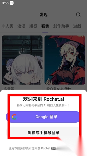 rochat正版(1)