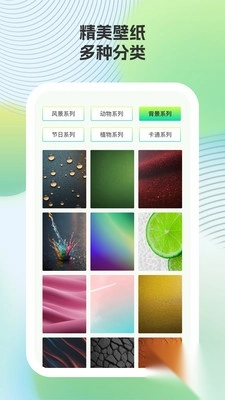 小鹿壁纸图4