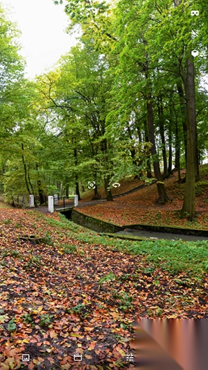 VR媒体播放器手机版(2)