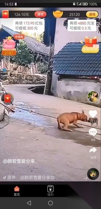 柴卡喵短视频红包版截图4