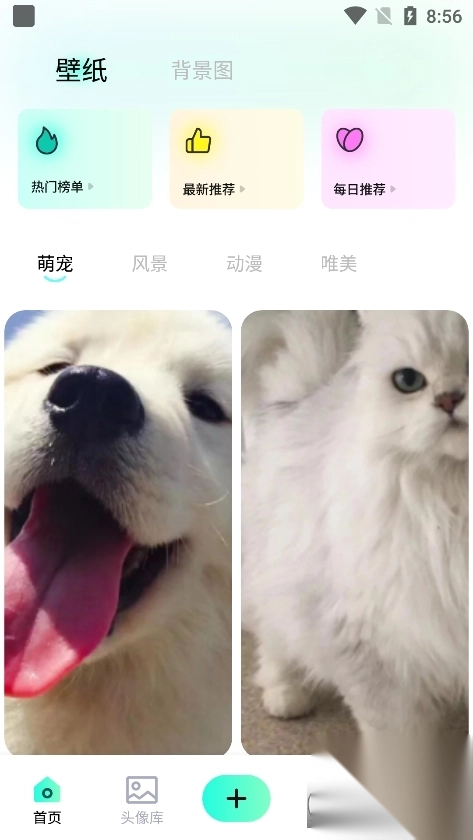 热啦啦壁纸(1)
