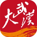 大武汉2025