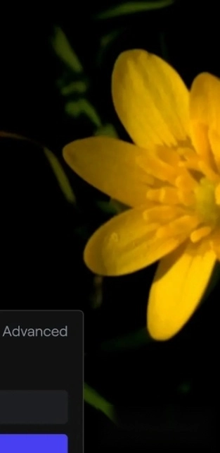 runway安卓中文版(1)