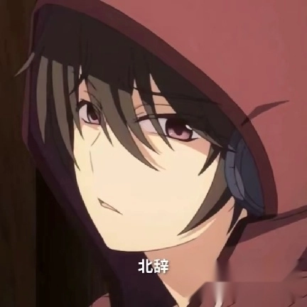 北辞10.0弱网官方免费版