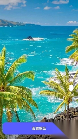 苏打壁纸安卓版(2)