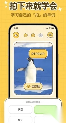 拍拍单词截图2