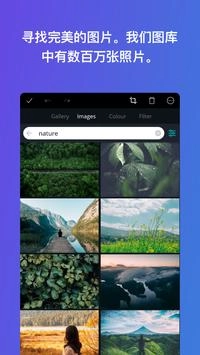 Canva手机最新版