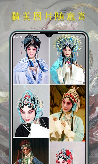 豫剧迷TV版