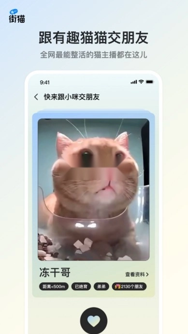 街猫最新版