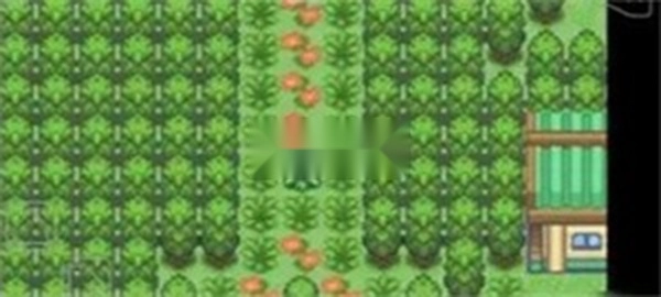 口袋妖怪究极绿宝石4小智版