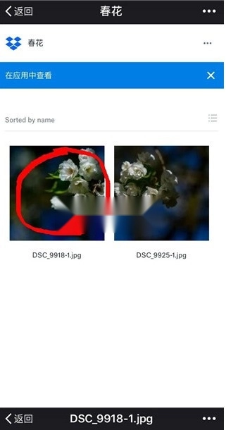 dropbox v400.2.2 安卓版