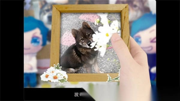 翌日波奇狗的历险记