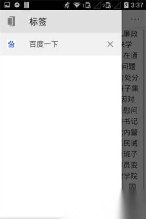 旋风浏览器(1)