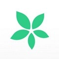 TimeTree时间树