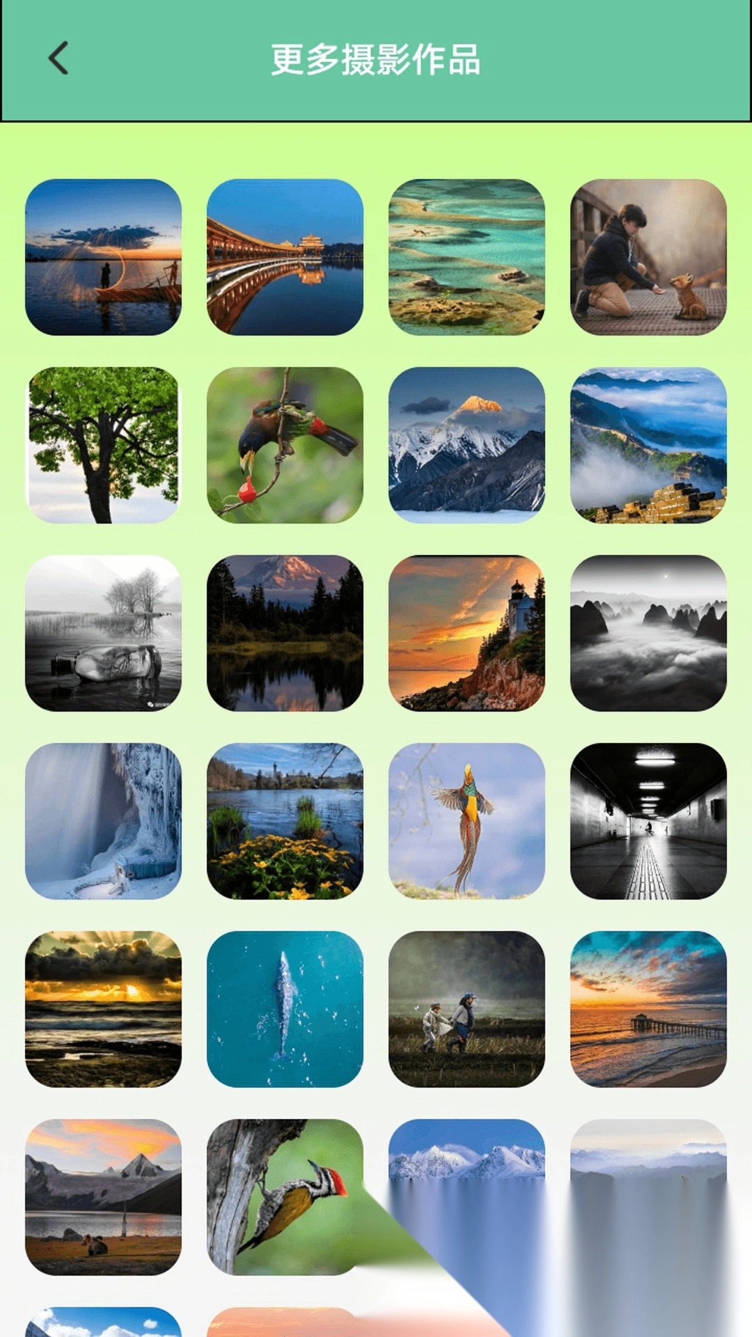 爱贴纸大作战(2)