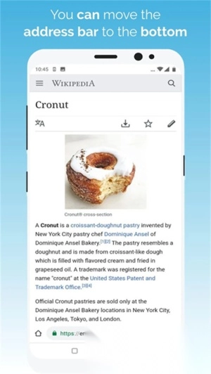 kiwi浏览器助手1